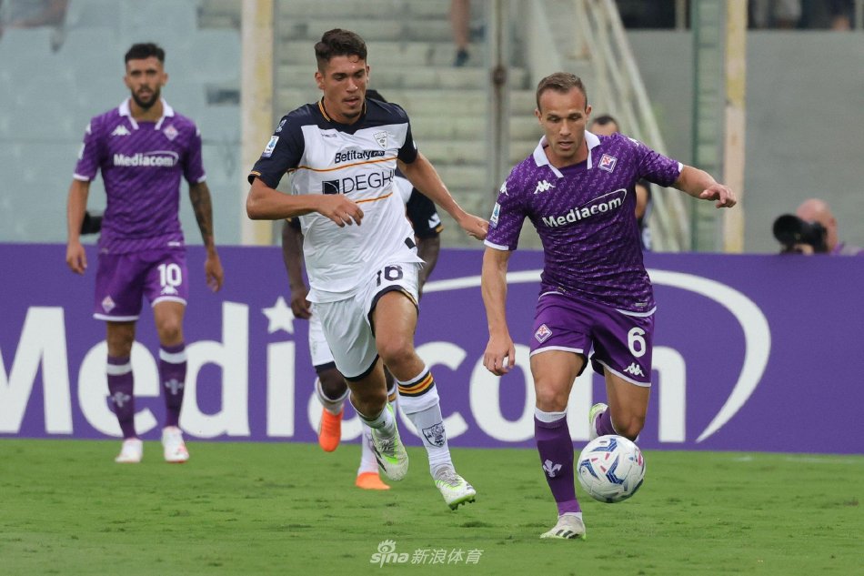 草坪已全部 草坪已全部